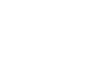 PON Metro